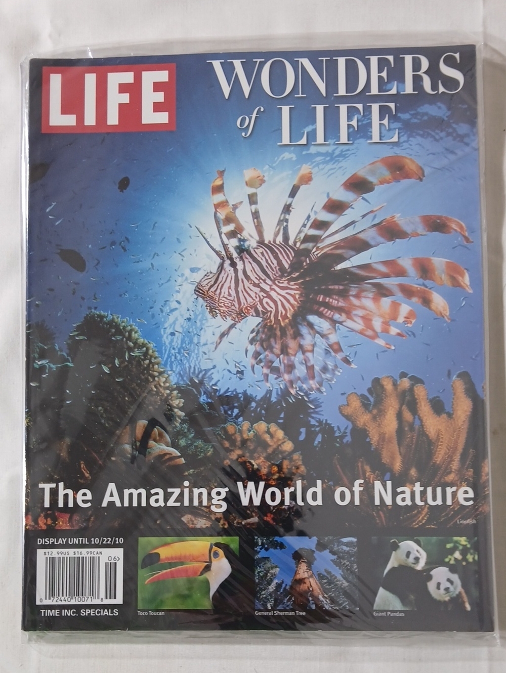 Wonders of Life Wall Art - Blue Multicolor